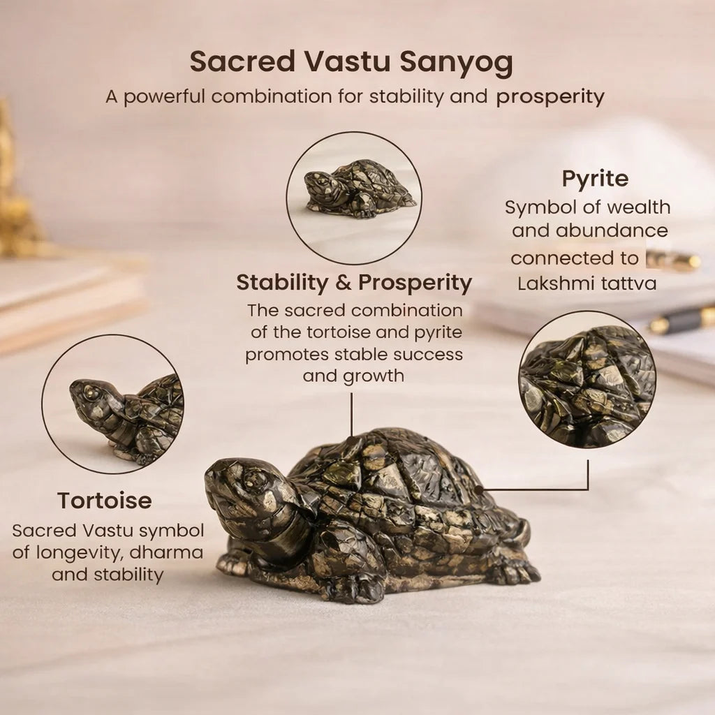 Pyrite Prosperity Tortoise (Kachhua) for Vaastu